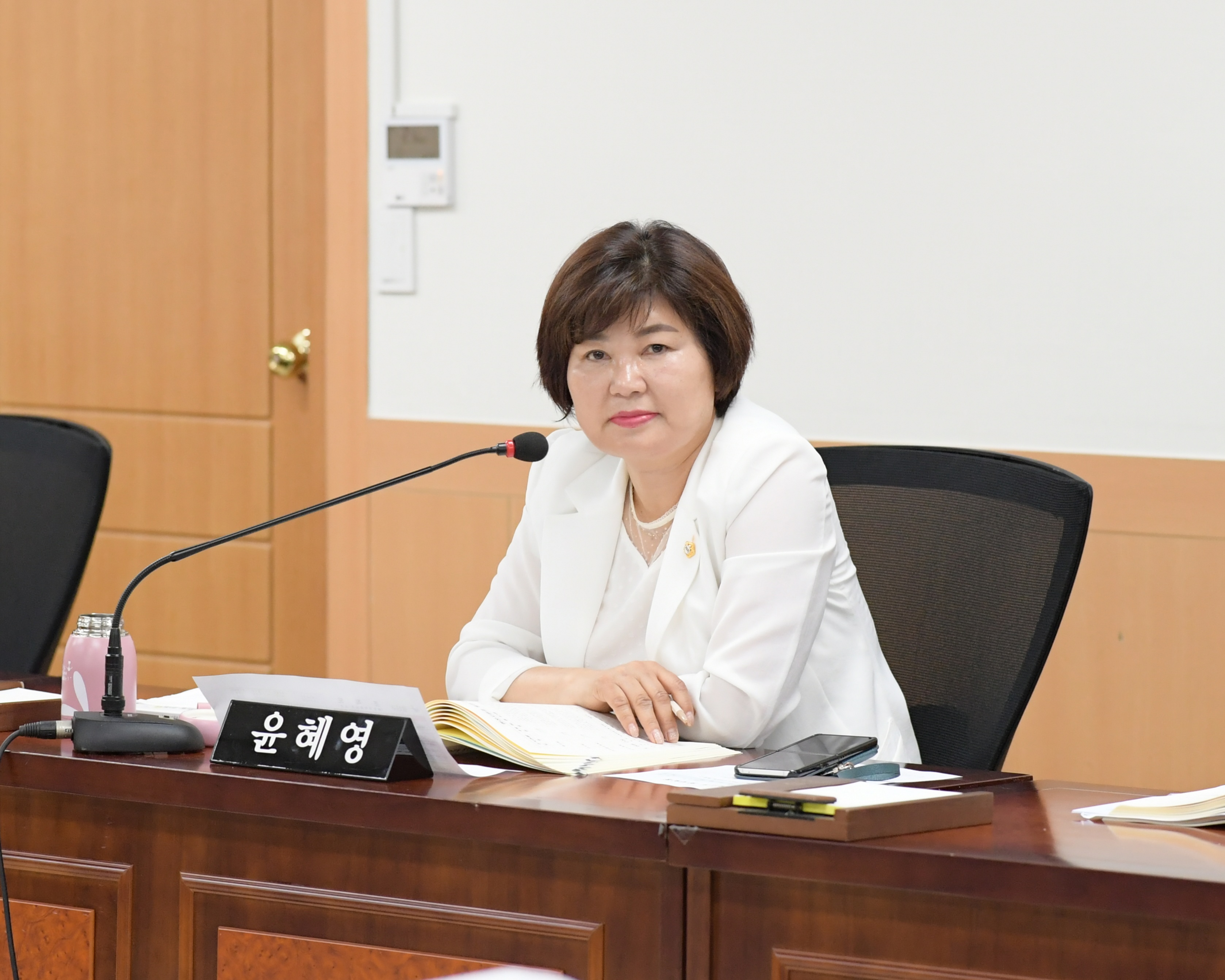  제273회 임시회 행정자치위원회 회의 첨부이미지 : DSC_6283.JPG