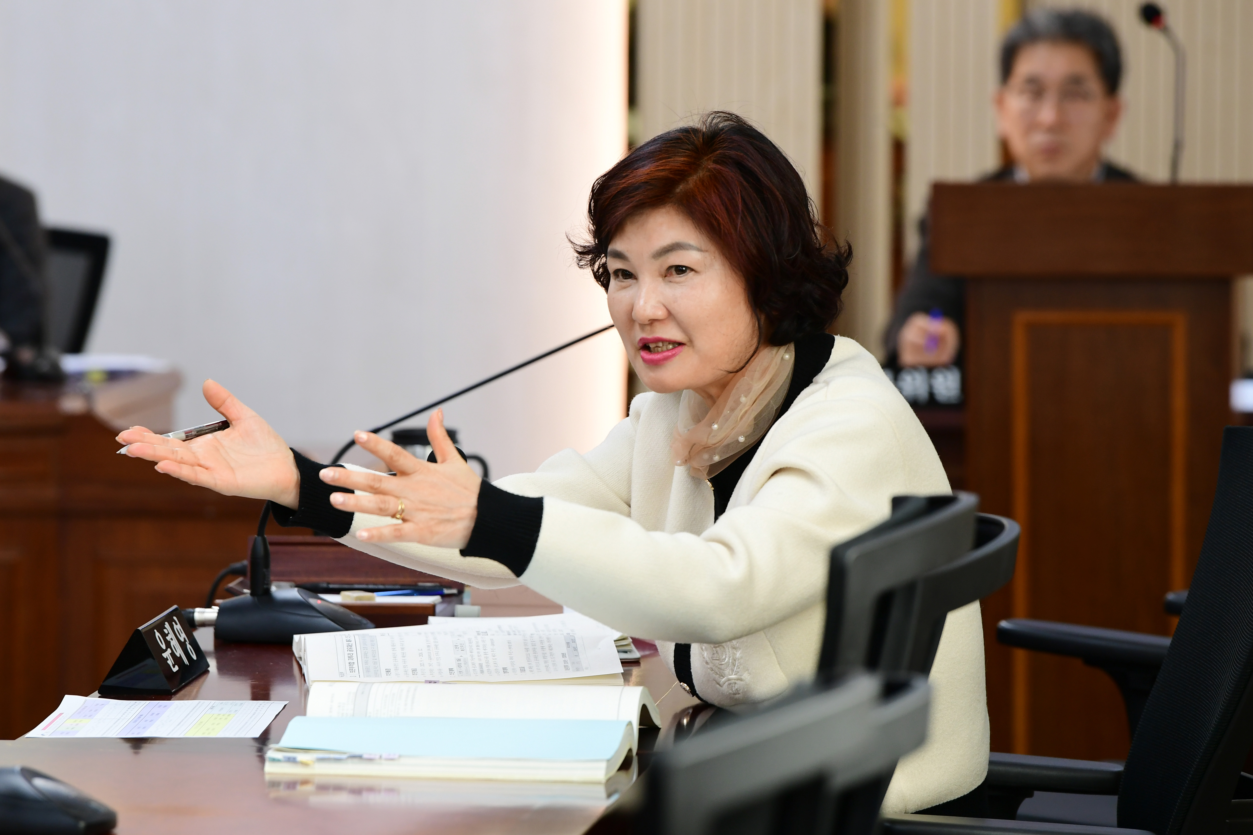 제285회 임시회 행정자치위원회 회의 첨부이미지 : 20240129 제285회 임시회 행정자치위원회 회의('24  업무계획 청취) (19).jpg