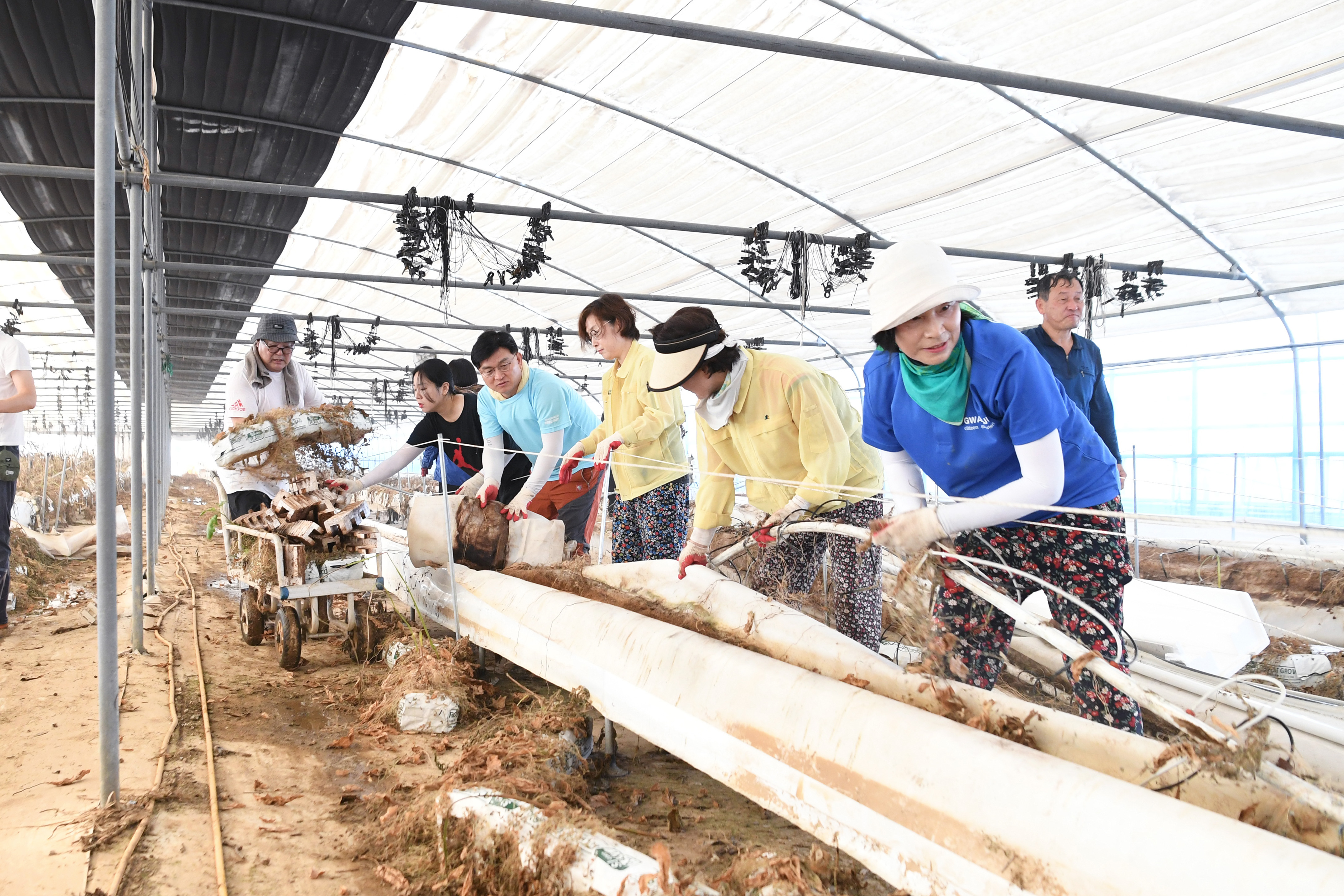 광산구의회, 집중호우 피해 농가 복구에 발 벗고 나서 첨부이미지 : 2-3_20250723_광산구의회, 집중호우 피해 농가 복구에 발 벗고 나서.jpg